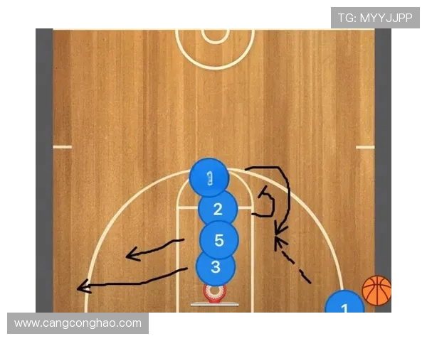 武汉篮球队战术表现深度分析与数据解读探讨