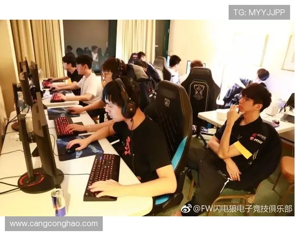 热议英雄联盟：LNG战队个人能力提升与团队协作的新篇章